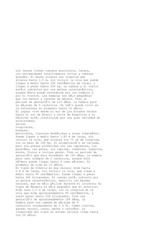 Los leones tienen cuerpos musculosos, largos,
con extremidades relativamente cortas y cabezas
grandes. El macho alcanza una longitud que
alcanza hasta 2.5 m, sin incluir la cola que puede
llegar a medir hasta 105 centÃmetros de largo, y
llegar a pesar hasta 250 kg. La cabeza y el cuello
estÃ¡n cubiertos por una melena caracterÃstica,
aunque Ã©sta puede extenderse por los hombros y
por el vientre. Las hembras son mÃ¡s pequeÃ±as
que los machos y carecen de melena. Tras un
periodo de gestaciÃ³n de 110 dÃas, la hembra pare
un mÃ¡ximo de 4 cachorros. Un leÃ³n puede vivir en
la naturaleza en promedio hasta 16 aÃ±os.
El jaguar vive desde el sur de los Estados Unidos
hasta el sur de Brasil y norte de Argentina y su
hÃ¡bitat estÃ¡ constituido por una gran variedad de
ecosistemas:
selvas
tropicales,
bosques,
matorrales, llanuras herbÃ¡ceas y zonas ribereÃ±as.
Puede llegar a medir hasta 1.85 m de largo, sin
incluir la cola, que alcanza los 75 cm de longitud,
con un peso de 190 kg. Su alimentaciÃ³n es variada,
pero sus presas preferidas son las capibaras, los
pecarÃes, las pacas, los tapires, roedores, lagartos,
monos, frutos e incluso peces. Tras un periodo de
gestaciÃ³n que dura alrededor de 100 dÃas, la hembra
pare casi siempre de 2 cachorros, aunque este
nÃºmero puede llegar hasta 4 como mÃ¡ximo. Su
promedio de vida es 13 aÃ±os.
El tigre de Siberia es muy escaso; mide hasta
2.8 m de largo, sin incluir la cola, que llega a
medir hasta 95 centÃmetros. Puede llegar a pesar
hasta 360 kilogramos. El cuerpo estÃ¡ cubierto por
un pelaje caracterÃstico, amarillo con bandas
oscuras, que es mÃ¡s pÃ¡lido durante el invierno; El
tigre de Bengala es mÃ¡s pequeÃ±o que el anterior;
mide unos 2.2 m de largo, con la longitud de la
cola que mide aproximadamente 85 centÃmetros, y
suele pesar hasta 258 kilogramos. Tras una
gestaciÃ³n de aproximadamente 108 dÃas, la
hembra pare una camada de mÃ¡xima de 6
cachorros (normalmente de 2 a 4). Comen ciervos,
ganado vacuno, ranas, peces o carroÃ±a. La
longevidad del tigre en estado salvaje llega hasta
los 20 aÃ±os.
 