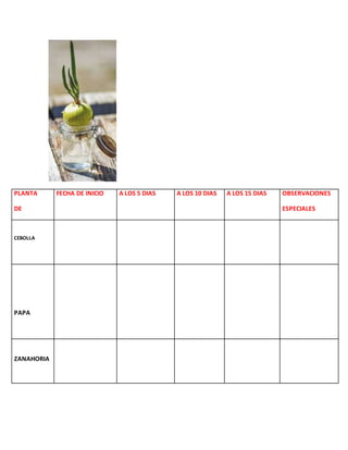 PLANTA
DE
FECHA DE INICIO A LOS 5 DIAS A LOS 10 DIAS A LOS 15 DIAS OBSERVACIONES
ESPECIALES
CEBOLLA
PAPA
ZANAHORIA
 