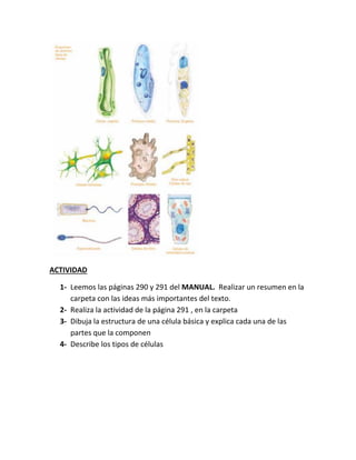 ACTIVIDAD
1- Leemos las páginas 290 y 291 del MANUAL. Realizar un resumen en la
carpeta con las ideas más importantes del ...