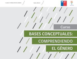 Curso
BASES CONCEPTUALES:
COMPRENDIENDO
NIVEL BÁSICO
PLAN DE FORMACIÓN EN GÉNERO
EL GÉNERO
 