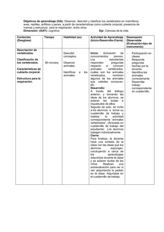 Objetivos de aprendizaje (OA): Observar, describir y clasificar los vertebrados en mamíferos,
aves, reptiles, anfibios y peces, a partir de características como cubierta corporal, presencia de
mamas y estructura para la respiración, entre otros.
Dimensión: (OAT): cognitiva Eje: Ciencias de la vida.
Contenido
(Desglose)
Tiempo Habilidad (es) Actividad de Aprendizaje
(Inicio-Desarrollo-Cierre)
Desempeño
Observable
(Evaluación-tipo de
instrumento)
Descripción de
vertebrados.
Clasificación de
los vertebrados.
Características de
cubierta corporal.
Estructura para la
respiración.
90 minutos
Describir
conceptos.
Observar
animales.
Identificar a los
animales.
Inicio: Activación de
conocimientos previos.
Los estudiantes
responden preguntas
respecto si conocen
animales vertebrados,
cuáles son los animales
vertebrados, nombren
algunos de los animales
que ustedes conozcan,
etc.
Desarrollo:
A través del diálogo
anterior, y tomando las
ideas de los alumnos, se
aclaran las dudas e
inquietudes de ellos.
Seguido de esto, se invita
a los alumnos a tomar su
cuadernillo de trabajo y
realizar la actividad
correspondiente “animales
vertebrados”. (Anexada en
cuadernillo de trabajo del
estudiante) Los alumnos
trabajan individualmente.
Cierre:
Para finalizar, la docente
hace una síntesis de la
clase con las ideas que los
alumnos expongan,
concluyendo a cerca de
los aprendizajes
adquiridos durante la clase
y se aclaran dudas de los
niños. Realizan una
autoevaluación para ver si
van adquiriendo lo pedido
en la clase. Adjuntada en
el cuadernillo de trabajo.
- Participación en
clases.
- Responde
preguntas
hechas por la
docente.
- Identifica los
animales
correctamente
- Desarrolla
trabajo
correspondiente
en cuadernillo.
 