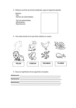 3. Elabora una ficha de animal vertebrado, sigue el siguiente ejemplo:
Nombre:
Piel:
Número de extremidades:
Tipo de extremidades:
Alimentación:
Reproducción:
4. Une cada animal con lo que tiene cubierto su cuerpo.
5. Busca el significado de los siguientes conceptos.
Herbívoros: ________________________________________________
__________________________________________________________
Carnívoros: _________________________________________________
__________________________________________________________
Omnívoros:_________________________________________________
__________________________________________________________
PELOS CONCHA ESCAMAS PLUMAS
 