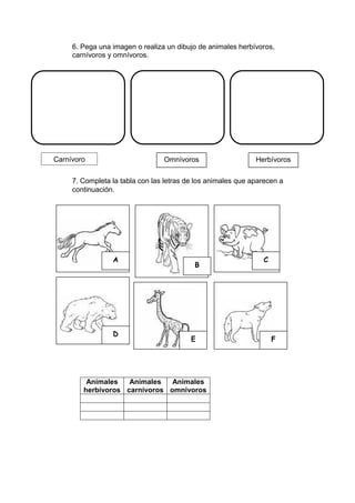 6. Pega una imagen o realiza un dibujo de animales herbívoros,
carnívoros y omnívoros.
7. Completa la tabla con las letras de los animales que aparecen a
continuación.
Animales
herbívoros
Animales
carnívoros
Animales
omnívoros
A
B
C
D
E F
Carnívoro Omnívoros Herbívoros
 