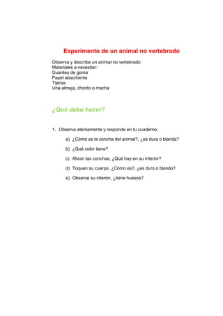 Experimento de un animal no vertebrado
Observa y describe un animal no vertebrado
Materiales a necesitar:
Guantes de goma
Papel absorbente
Tijeras
Una almeja, chorito o macha
¿Qué debo hacer?
1. Observa atentamente y responde en tu cuaderno.
a) ¿Cómo es la concha del animal?, ¿es dura o blanda?
b) ¿Qué color tiene?
c) Abran las conchas, ¿Qué hay en su interior?
d) Toquen su cuerpo, ¿Cómo es?, ¿es duro o blando?
e) Observe su interior, ¿tiene huesos?
 