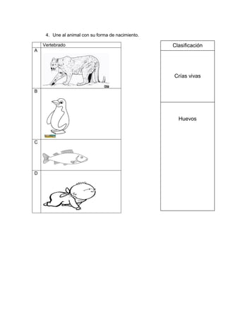 4. Une al animal con su forma de nacimiento.
Vertebrado
A
B
C
D
Clasificación
Crías vivas
Huevos
 