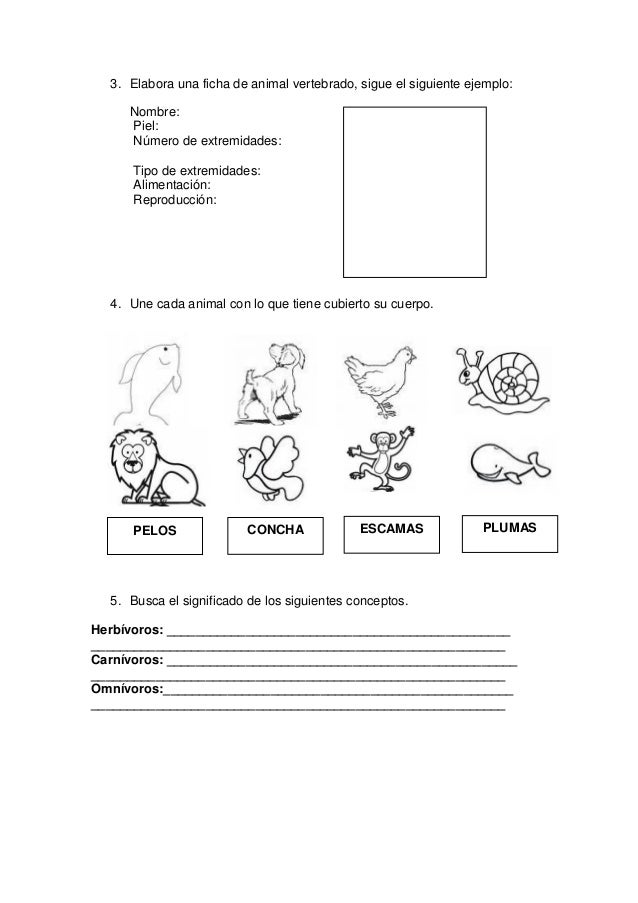 Cuadernillo para el estudiante