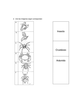 2. Une las imágenes según correspondan
a.
b.
c.
d.
e.
f.
Insecto
Crustáceo
Arácnido
 