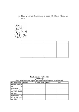 2. Dibuja y escribe el nombre de la etapa del ciclo de vida de un
perro:
Pauta de autoevaluación
¿Cómo voy?
Pinta el casillero que diga lo que crees has aprendido en esta clase.
He aprendido Mucho Aún me falta Poco Nada
El ciclo de vida
de los
animales
Características
de los ciclos
de vida.
Diferencia de
tipos de ciclo
de vida.
 