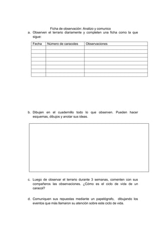 Ficha de observación: Analizo y comunico
a. Observen el terrario diariamente y completen una ficha como la que
sigue:
Fecha Número de caracoles Observaciones
b. Dibujen en el cuadernillo todo lo que observen. Pueden hacer
esquemas, dibujos y anotar sus ideas.
c. Luego de observar el terrario durante 3 semanas, comenten con sus
compañeros las observaciones. ¿Cómo es el ciclo de vida de un
caracol?
d. Comuniquen sus repuestas mediante un papelógrafo, dibujando los
eventos que más llamaron su atención sobre este ciclo de vida.
 