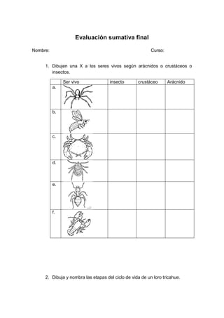 Evaluación sumativa final
Nombre: Curso:
1. Dibujen una X a los seres vivos según arácnidos o crustáceos o
insectos.
Ser vivo insecto crustáceo Arácnido
a.
b.
c.
d.
e.
f.
2. Dibuja y nombra las etapas del ciclo de vida de un loro tricahue.
 