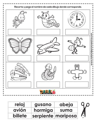 Recorta y pega el nombre de cada dibujo donde corresponde.
www.materialparamaestros.com
reloj
hormiga
billete
gusano
serpiente
suma
avión
abeja
mariposa
 