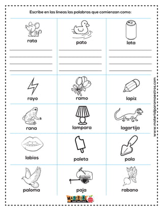 www.materialparamaestros.com
rata
lampara
ramo lapiz
paleta pala
lagartija
paloma rabano
paja
rayo
rana
labios
pato lata
Escribe en las líneas las palabras que comienzan como:
 