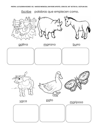 PROFRA. LUZ GUZMAN RICARDO ESC. NARCISO MENDOZA, SAN PEDRO APOSTOL. ZONA ESC. 007 SECTOR 24, OCOTLAN OAX.
Escribe palabras que empiecen como.
gallina marrano burro
vaca pato
mariposa
 