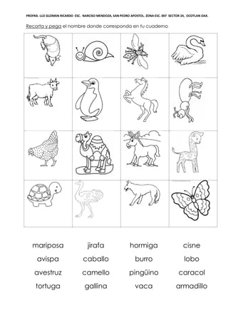 PROFRA. LUZ GUZMAN RICARDO ESC. NARCISO MENDOZA, SAN PEDRO APOSTOL. ZONA ESC. 007 SECTOR 24, OCOTLAN OAX.
Recorta y pega el nombre donde corresponda en tu cuaderno
mariposa jirafa hormiga cisne
avispa caballo burro lobo
avestruz camello pingüino caracol
tortuga gallina vaca armadillo
 