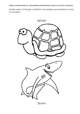 PROFRA. LUZ GUZMAN RICARDO ESC. NARCISO MENDOZA, SAN PEDRO APOSTOL. ZONA ESC. 007 SECTOR 24, OCOTLAN OAX.
Escribe sobre la tortuga y el tiburón las palabras que empiecen como
sus nombres.
tortuga
tiburòn
 