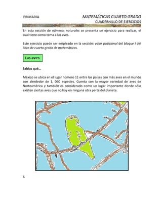 PRIMARIA MATEMÁTICAS CUARTO GRADO
CUADERNILLO DE EJERCICIOS
6
En esta sección de números naturales se presenta un ejercicio para realizar, el
cual tiene como tema a las aves.
Este ejercicio puede ser empleado en la sección: valor posicional del bloque I del
libro de cuarto grado de matemáticas.
Sabías qué…
México se ubica en el lugar número 11 entre los países con más aves en el mundo
con alrededor de 1, 060 especies. Cuenta con la mayor variedad de aves de
Norteamérica y también es considerado como un lugar importante donde sólo
existen ciertas aves que no hay en ninguna otra parte del planeta.
 