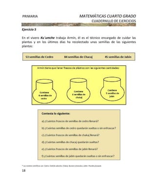 PRIMARIA MATEMÁTICAS CUARTO GRADO
CUADERNILLO DE EJERCICIOS
18
Ejercicio 5
En el vivero Ku´umche trabaja Armín, él es el técnico encargado de cuidar las
plantas y en los últimos días ha recolectado unas semillas de las siguientes
plantas:
* Los nombre científicos son: Cedro: Cedrela odorata, Chakaj: Bursera simaruba y Jabín: Piscidia piscipula.
 