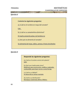 PRIMARIA MATEMÁTICAS
CUADERNILLO DE EJERCICIOS
66
Ejercicio 3
Ejercicio 4
 