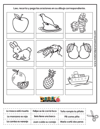 Beto tiene una barco
Felipe se ríe con la foca
María cortó dos peras
Toño rompio la piñata
Juan cuida su conejo
Pili come piña
www.materialparamaestros.com
Lee, recorta y pega las oraciones en su dibujo correspondiente.
La mosca está muerta
La camisa es naranja
La manzana es roja
 
