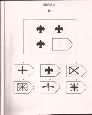 cuadernillo test raven.pdf