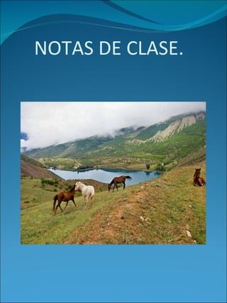 NOTAS DE CLASE. 