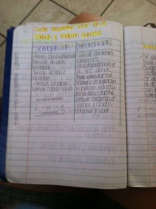 Cuaderno 