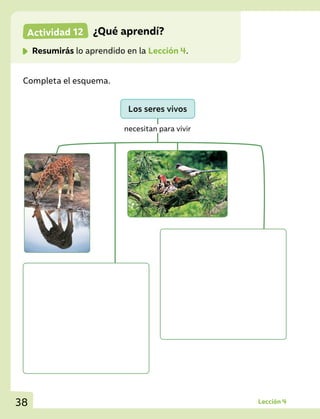 38
Completa el esquema.
Actividad 12 	 ¿Qué aprendí?
	 Resumirás lo aprendido en la Lección 4.
necesitan para vivir
Los seres vivos
Lección 4
 