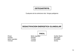 OSTEOARTRITIS
Cualquiera de los anteriores más Hongos patógenos
DESACTIVACION ENERGETICA GLANDULAR
Pineal Bulbo raquídeo Guillain Barré
Parietal Parietal Meningitis
Bulbo raquídeo Tiroides Encefalitis
Craneal Craneal Antrax
94
PINEAL
 