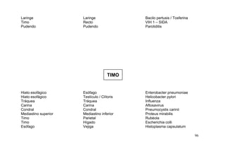 Laringe Laringe Bacilo pertusis / Tosferina
Timo Recto VIH 1 – SIDA
Pudendo Pudendo Parotiditis
TIMO
Hiato esofágico Esófago Enterobacter pneumoniae
Hiato esofágico Testículo / Clítoris Helicobacter pylori
Tráquea Tráquea Influenza
Carina Carina Aftosavirus
Condral Condral Pneumocystis carinii
Mediastino superior Mediastino inferior Proteus mirabilis
Timo Parietal Rubéola
Timo Hígado Escherichia colli
Esófago Vejiga Histoplasma capsulatum
96
 