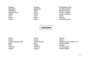 Esófago Esófago Fasciolopsis buski
Diafragma Diafragma Cándida albicans
Diafragma Riñón Brucella abortus
Cápsula renal Sacro Proteus mirabilis
Costal Costal Proteus mirabilis
Axila Axila Rabia
Pleura Pleura Pleuritis
Indice Indice Escherichia colli
CORAZON
Pleura Pleura Pleuritis
Carina Carina Aftosa
Cabeza del páncreas Suprarrenales Staphylococcus aureus C (+)
Bazo Bazo Yersinia pestis
Bazo Hígado Brucella
Testículo Testículo Yersinia pestis
Vagína Vagína Yersinia pestis
97
 