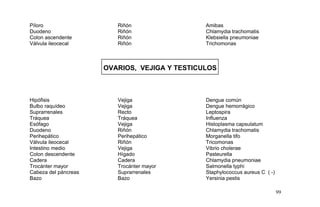 Píloro Riñón Amibas
Duodeno Riñón Chlamydia trachomatis
Colon ascendente Riñón Klebsiella pneumoniae
Válvula ileocecal Riñón Trichomonas
OVARIOS, VEJIGA Y TESTICULOS
Hipófisis Vejiga Dengue común
Bulbo raquídeo Vejiga Dengue hemorrágico
Suprarrenales Recto Leptospira
Tráquea Tráquea Influenza
Esófago Vejiga Histoplasma capsulatum
Duodeno Riñón Chlamydia trachomatis
Perihepático Perihepático Morganella tifo
Válvula ileocecal Riñón Tricomonas
Intestino medio Vejiga Vibrio cholerae
Colon descendente Hígado Pasteurella
Cadera Cadera Chlamydia pneumoniae
Trocánter mayor Trocánter mayor Salmonella typhi
Cabeza del páncreas Suprarrenales Staphylococcus aureus C ( -)
Bazo Bazo Yersinia pestis
99
 