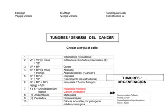 Esófago
Vejiga urinaria
Esófago
Vejiga urinaria
Faciolopsis buski
Estreptococo G
TUMORES / GENESIS DEL CANCER
Checar alergia al pollo
TUMORES /
DEGENERACION
101
1. Inflamatorio / Exudativo
2. VP + VP (o más)
+ VP
Infiltrado a cavidades potenciales (7):
3. VP + BP Quiste
4. BP + BP (o más)
+ Hongo
Absceso
Absceso rápido (“Cáncer”)
5. BP + BP ó
HP + VP
Displasia
(Crecimiento de estructuras)
6. BP + BP + BP /
Hongo + VP
Neoplasia / Tumor benigno
7. 1 a 5 + Mycobacterium
leprae
Neoplasia maligna
Cáncer verdadero
8. (+) Anaeróbicos Metástasis
9. (+) Parásitos Necrosis tisular
10. Cáncer incurable por yatrogenia
médico-quirúrgica
Suprarrenales-Pulmón
Pleura (D/D)
Suprahepático-Suprahepático
Recto-Recto
 