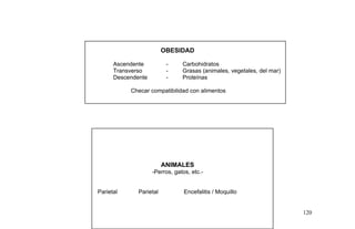 OBESIDAD
Ascendente - Carbohidratos
Transverso - Grasas (animales, vegetales, del mar)
Descendente - Proteínas
Checar compatibilidad con alimentos
ANIMALES
-Perros, gatos, etc.-
Parietal Parietal Encefalitis / Moquillo
120
 