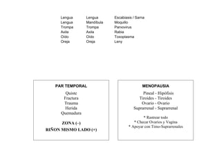 Lengua Lengua Escabiasis / Sarna
Lengua Mandíbula Moquillo
Trompa Trompa Parvovirus
Axila Axila Rabia
Oído Oído Toxoplasma
Oreja Oreja Leny
121
PAR TEMPORAL
Quiste
Fractura
Trauma
Herida
Quemadura
ZONA (–)
RIÑON MISMO LADO (+)
MENOPAUSIA
Pineal - Hipófisis
Tiroides - Tiroides
Ovario - Ovario
Suprarrenal - Suprarrenal
* Rastrear todo
* Checar Ovarios y Vagína
* Apoyar con Timo-Suprarrenales
 