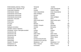 Enfermedades priónicas / Wang Temporal Cardias A
Enolimax naná / Reservorio de Píloro Colon ascendente R
Entamoeba histolytica Parietal Intestino medio P
Enterobacter cloacae Colon descendente Colon descendente B
Enterobacter pneumoniae Hiato esofágico Esófago B
Enterobacter pneumoniae Húmero Húmero B
Enterobacter pneumoniae Glúteo Hiato esofágico B
Enterobios / Oxiurasis Hígado Píloro P
Enterococo Plexo lumbo-sacro Plexo lumbo sacro B
Enterovirus Malar Malar V
Enuresis Muñeca Rodilla AP
Envidia Cardias / Corazón Páncreas PE
Epilepsia convulsiva Condral Bronquios AP
Equilibrio vertical / Abraham Polo Polo E
Escabiasis / Sarna / Sarcoptes escabiei Lengua Lengua P
Escherichia colli Hígado Timo B
Escherichia colli Dedo índice Dedo índice B
Escherichia colli Vesícula Cápsula renal B
Espiroqueta Clítoris Pelvis / Sacro B
Espiroqueta Conducto del páncreas Riñón B
Espiroqueta Conducto de la vesícula Riñón B
Espolón / Pie plano Metatarsos 1 a 5 Metatarsos 1 a 5 AP
Estreptococo A Plexo braquial Plexo braquial B
Estreptococo alfa Coronarias Pulmón B
 