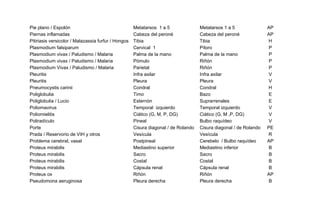 Pie plano / Espolón Metatarsos 1 a 5 Metatarsos 1 a 5 AP
Piernas inflamadas Cabeza del peroné Cabeza del peroné AP
Pitiriasis versicolor / Malazassia furfur / Hongos Tibia Tibia H
Plasmodium falsiparum Cervical 1 Píloro P
Plasmodium vivax / Paludismo / Malaria Palma de la mano Palma de la mano P
Plasmodium vivax / Paludismo / Malaria Pómulo Riñón P
Plasmodium Vivax / Paludismo / Malaria Parietal Riñón P
Pleuritis Infra axilar Infra axilar V
Pleuritis Pleura Pleura V
Pneumocystis carinii Condral Condral H
Poliglobulia Timo Bazo E
Poliglobulia / Lucio Esternón Suprarrenales E
Poliomavirus Temporal izquierdo Temporal izquierdo V
Poliomielitis Ciático (G, M, P, DG) Ciático (G, M ,P, DG) V
Poliradículo Pineal Bulbo raquídeo V
Porte Cisura diagonal / de Rolando Cisura diagonal / de Rolando PE
Prada / Reservorio de VIH y otros Vesícula Vesícula R
Problema cerebral, vasal Postpineal Cerebelo / Bulbo raquídeo AP
Proteus mirabilis Mediastino superior Mediastino inferior B
Proteus mirabilis Sacro Sacro B
Proteus mirabilis Costal Costal B
Proteus mirabilis Cápsula renal Cápsula renal B
Proteus ox Riñón Riñón AP
Pseudomona aeruginosa Pleura derecha Pleura derecha B
 