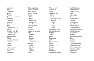 Lacrimal
Nariz
Fosa nasal
Malar
Pómulo
Temporo-occipital
Pospineal
Coronilla
Cerebelo
Bulbo raquídeo
Atlas
Cervicales (1 a 7)
Cuello
Dorsales (1 a 12)
Lumbares (1 a 5)
Lumbo-sacro
Sacros (1 a 5)
Cóccix
Cuadrado lumbar
Latísimus
Glúteo
Isquion
Isquion interno
Cresta ilíaca
Ilíaco
Interilíaco
Rama isquiática
Saco de Douglas
Vena femoral
Nervio femoral
Ciático
Glúteo
Muslo
Pantorrilla
Punta de pie
Músculo cavernoso
Hueco poplíteo
Rótula
Rodilla
Ligam. de la rodilla
Tibia
Superior
Media
Inferior
Maleólo
Metatarsos (1 a 5)
Aquiles
Arriba
Enmedio
Abajo
Calcáneo
Talón
Arco del pié
Bola del pié
Plantar
Dedos del pié
Gordo
(2 a 5)
Dedos de la mano
Meñique
Anular
Medio
Índice
Pulgar
Palma de la mano
Dorso de la mano
Muñeca
Cúbito
Radio
Pulso radial
Codo
Plexo braquial
Bíceps
Húmero
Tríceps
Bursa
Antebursa
Punta del deltoides
Deltoides medio
Supraespinoso
Plexo cervical
Axila
Infra axilar
Pleura
Suprahepático
Hígado
Perihepático
Costo-Hepático
Retrohepático
Lóbulo posterior
Ligamento hepático
Lóbulo anterior
Suprarrenales
Riñones
Nervios inguinales
Timo
Corazón
Estómago
Colon ascendente
Colon transverso
Colon descendente
Intestino medio
Sigmoides
Estómago
 