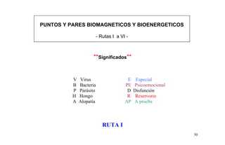 PUNTOS Y PARES BIOMAGNETICOS Y BIOENERGETICOS
- Rutas I a VI -
**Significados**
V Virus E Especial
B Bacteria PE Psicoemocional
P Parásito D Disfunción
H Hongo R Reservorio
A Alopatía AP A prueba
RUTA I
30
 