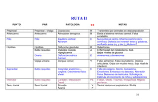 RUTA II
PUNTO PAR PATOLOGIA
** NOTAS
Prepineal Prepineal / Vejiga Cryptococo H Transmitido por animales en descomposición
Antecuerno Antecuerno Aerobacter aeroginus B Daña al sistema nervioso central. Falsa
encefalitis
Polo Polo Equilibrio vertical
Abraham
E Muy juntos al centro. Dharma (camino de lo
correcto). Dislexia (se invierten letras y palabras,
confusión entre izq. y der.) ¿Mutismo?
Hipófisis Hipófisis Disfunción glandular D Galactorrea
Bulbo raquídeo Diabetes insípida
Hipoglucemia
A Enfermedad del metabolismo. Sed.
Bajos niveles de glucosa
Ovario Disfunción ovárica
Carmen
E Amenorrea y dismenorrea
Vejiga urinaria Dengue común V Falso alzheimer. Falso reumatismo. Dolores
articulares. Gripa con mucho moco. Baja nivel de
interferón
Supraciliar Bulbo raquídeo Integridad anatómico –
corporal. Crecimiento físico
Vivian
E Falta de oxígeno. Aborto. Autoestima.
Emociones. Embarazo no deseado. Alteración
física. Descenso de testículos. Sofrológicos.
Estimula el crecimiento de niños y adolescentes
Interciliar Bulbo raquídeo Carácter / Maduración
David
PE Fobias. Miedo. Traumas. Inseguridad. Reposo
profundo
Seno frontal Seno frontal Sinusitis
Ácaros
V
P
Varios trastornos respiratorios. Rinitis
38
 