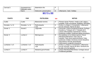 Cervical 3 Supraespinoso /
Deltoides medio
Balantidium tifo P
Sacro Disfunción parasimpático D Inflamación. Calor. Cefalea
RUTA III
PUNTO PAR PATOLOGIA
** NOTAS
Cuello Cuello Blastosistis hominis H Primera dorsal. Pulmón. Irradia a piel, vejiga y
próstata. Crisis convulsivas. Epilepsia. Dermatitis
Dorsales 1 a 12 Dorsales 1 a 12 Radiculopatía
Loja
A Arriba (-) y Abajo (+) Compresión / inflamación
de raíz nerviosa. Hernia de disco
Dorsal 2 Dorsal 2 Legionella B Horizontal. Checar Escápula-Escápula, Esófago-
Duodeno y Triángulo de E.-Triángulo de E.
Varias enfermedades respiratorias. Pulmón.
Esclerosis múltiple. Esclerosis lateral ameotípica
Dorsal 5 Lumbar 2 Meningococo B Se establece en la médula espinal. Checar
Mandíbula-Mandíbula. Dolor bajo de
espalda. Falsa úlcera gastroduodenal. Falsa
esclerosis múltiple. Escoliosis dorsal ideopática.
Reumatismo articular generalizado.
Deformación congénita intrauterina
Lumbares 1 a 5 Lumbares 1 a 5 Radiculopatía
Loja
A Arriba (-) y Abajo (+) Compresión / inflamación
de raíz nerviosa. Hernia de disco. Síndrome de
la vela. L4-L5 en general
Lumbar 4 Lumbar 4 Neisseria gonorrhoeae B Checar Mandíbula-Mandíbula. Contagio sexual.
Problemas genitales
41
 