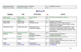 Dedo gordo del pie Dedo gordo del pie Micosis H Hongos en los pies
Dedos 2 a 5 del pie Dedos 2 a 5 del pie (¿?) AP
RUTA IV
PUNTO PAR PATOLOGIA
** NOTAS
Dedo anular Dedo anular Tranquilizante AP En niños, los tranquiliza y duerme
Dedo meñique y pulgar Dedo meñique y
pulgar
(¿?) AP
Dedo medio Dedo medio Micosis H Hongos en las manos
Dedo índice Dedo índice Escherichia colli B Resonancia con VIH. Falsa neumonía
Detener con los dedos índice y pulgar. (Checar
la yema de los 5 dedos)
Palma de la mano Palma de la mano Plasmodium vivax
Paludismo ó Malaria
P Checar Pómulo-Riñón y Parietal-Riñón. Falso
reumatismo. Fibromialgia. Fiebres recurrentes.
Escalofríos. Problemas digestivos agudos. Falsa
salmonellosis
Dorso de la mano Dorso de la mano (¿?) AP
Muñeca Muñeca Rickettsia
Alzheimer verdadero
B Checar Calcáneo-Calcáneo y
Cuadrado-Cuadrado
Rodilla Enuresis AP Incontinencia urinaria y nocturna
Cúbito Cúbito Herpes III V Checar Uretero-Uretero
Irritación mucosas internas de nariz, oídos, ojos
y del tubo digestivo
Radio Radio Microsporum H Hongos en los pies
Pulso radial Pulso radial Hipertensión arterial E La estabiliza
44
 