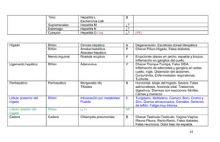 Timo Hepatitis L
Escherichia colli
B
Suprarrenales Hepatitis M ¿?
Estomago Hepatitis N ¿?
Corazón Hepatitis O / Ira ¿? (PE)
Hígado Riñón Cirrosis hepática A Degeneración. Escoliosis dorsal ideopática
Riñón Ameba histolítica
Absceso hepático
P Checar Píloro-Hígado. Falsa diabetes
Nervio inguinal Roséola eruptiva V Erupciones planas en pecho, espalda y brazos.
Inflamación en ganglios del cuello
Ligamento hepático Riñón Adenovirus V Checar Trompa-Trompa. Falso SIDA.
Inflamación de adenoides y ganglios en axilas,
cuello, ingle. Distensión del abdomen.
Conjuntivitis. Enfermedades respiratorias.
Tumores
Perihepático Perihepático Morganella tifo
Tifoidea
B Horizontal. Abajo del hígado. Severa. Falsa
salmonellosis. Anorexia total. Trastornos
digestivos. Diarreas con reacciones febriles.
Carnes y mariscos
Lóbulo posterior del
hígado
Riñón Intoxicación por metaloides
Puebla
E Tungsteno, Molibdeno, Cianuro, Boro, Cromo y
Zinc. Granos almacenados. Cereales. Sartenes
de teflón. Fatiga muy intensa
Lóbulo anterior del
hígado
Riñon (¿?) AP
Cadera Cadera Chlamydia pneumoniae B Checar Testículo-Testículo, Vagína-Vagína,
Pleura-Pleura, Recto-Recto. Falsa diabetes.
Falsa neumonía. Dolor bajo de espalda.
48
 