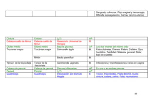 Sangrado pulmonar. Flujo vaginal y hemorragia.
Dificulta la coagulación. Cáncer cervico-uterino
Cintura Cintura (¿?) AP
Cabeza-cuello de fémur Cabeza-cuello de
fémur
Reservorio Universal de
Hongos
R
Glúteo medio Glúteo medio Baja la glucosa AP Los dos imanes del mismo lado
Trocánter mayor Trocánter mayor Salmonella typhi B Falsa diabetes. Diarrea. Fiebre. Cefalea. Ojos
hundidos. Debilidad. Malestar general. Dolor
bajo de espalda
Riñón Bacilo paratífico B
Tensor de la fascia lata Tensor de la
fascia lata
Gardnerella vaginalis B Infecciones y manifestaciones varias en vagína
Cabeza de peroné Cabeza de peroné Piernas inflamadas AP En una o en ambas piernas
Peroné Peroné (¿?) AP
Cuadriceps Cuadriceps Intoxicación por bismuto
Magda
E Tóxico. Insecticidas. Pepto-Bismol. Duele
cintura, cadera, pelvis. Falso reumatismo
49
 