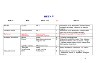 RUTA V
PUNTO PAR PATOLOGIA
** NOTAS
Aductor Aductor VIH 2 V Interior del muslo. Falso SIDA. Falsa diabetes.
Comezón en ingles. Trastornos en uretra y
vagína
Trocánter menor Trocánter menor VIH 4 V Interior del muslo. Falso SIDA. Debajo de los
testículos. Irritación uretra y genitales
Peritoneo Apéndice
vermiforme
Reservorio de
Gardnerella vaginalis
R Checar Tensor de la F.-Tensor de la F.
Apéndice vermiforme Lengua Viruela V Variadas manifestaciones
Pleura Staphylococcus aureus
cuagulasa (+)
B Checar Pericardio-Pericardio. Falsa diabetes.
Falso reumatismo. Falsa neumonía. Laringe.
Traquea. Pleura. Infarto. Arritmia. Taquicardia.
Retinopatía. Conjuntivitis
Apéndice xifoides Tiña en las manos H
Testículos
Vena femoral
SARS
Viruela vaccinia
V Fiebre. Problemas pulmonares. Tos intensa
Válvula ileocecal Riñón Trichomonas B Falsa diabetes. Trastornos digestivos.
Transmisión sexual. Se aloja en la boca y los
intestinos
50
 