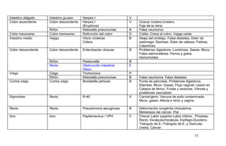 Intestino delgado Intestino grueso Herpes I V
Colon ascendente Colon descendente Herpes I
(Eruptivos)
V Checar Uretero-Uretero.
Faja de la reina
Riñón Klebsiella pneumoniae B Falsa neumonía.
Colon transverso Colon transverso Disfunción del colon D Colitis. Crece el colon. Vejiga caída
Intestino medio Vejiga Vibrio cholerae
Cólera
B Abajo del ombligo. Falsa diabetes. Dolor de
estómago. Diarreas. Dolor de cabeza. Fiebres.
Calambres
Colon descendente Colon descendente Enterobacter cloacae B Problemas digestivos. Lombrices. Gases. Moco.
Falsa salmonellosis. Perros y gatos.
Hemorroides
Riñón Pasteurella B
Recto Obstrucción intestinal
Olazo
E
Ciego Ciego Trichomona P
Riñón Klebsiella pneumoniae B Falsa neumonía. Falsa diabetes
Contra ciego Contra ciego Bordetella pertusis B Punta de páncreas. Problemas digestivos.
Diarreas. Moco. Gases. Flujo vaginal. Lesión en
Cabeza de fémur. Frutas y verduras. Várices y
problemas vasculares
Sigmoides Recto R-40 V Cancerígeno. Vacuna de polio contaminada.
Moco, gases. Afecta a recto y vagína
Recto Recto Pseudomona aeruginosa B Deformación congénita intrauterina.
Metástasis del cáncer. Piel
Ano Ano Papilomavirus / VPH V Checar Labio superior-Labio inferior, Próstata-
Recto, Escápula-Escápula, Esófago-Duodeno.
Triángulo de E.-Triángulo de E. y Vesícula-
Uretra. Cáncer
51
 