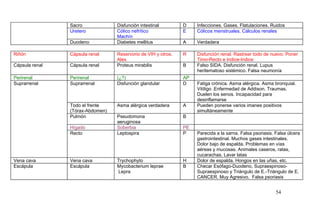 Sacro Disfunción intestinal D Infecciones. Gases. Flatulaciones. Ruidos
Uretero Cólico nefrítico
Machín
E Cólicos menstruales. Cálculos renales
Duodeno Diabetes mellitus A Verdadera
Riñón Cápsula renal Reservorio de VIH y otros.
Alex
R Disfunción renal. Rastrear todo de nuevo. Poner
Timo-Recto e Indice-Indice
Cápsula renal Cápsula renal Proteus mirabilis B Falso SIDA. Disfunción renal. Lupus
heritematoso sistémico. Falsa neumonía
Perirenal Perirenal (¿?) AP
Suprarrenal Suprarrenal Disfunción glandular D Fatiga crónica. Asma alérgica. Asma bronquial.
Vitíligo .Enfermedad de Addison. Traumas.
Duelen los senos. Incapacidad para
desinflamarse
Todo el frente
(Tórax-Abdomen)
Asma alérgica verdadera A Pueden ponerse varios imanes positivos
simultáneamente
Pulmón Pseudomona
aeruginosa
B
Hígado Soberbia PE
Recto Leptospira P Parecida a la sarna. Falsa psoriasis. Falsa úlcera
gastrointestinal. Muchos gases intestinales.
Dolor bajo de espalda. Problemas en vías
aéreas y mucosas. Animales caseros, ratas,
cucarachas. Lavar latas
Vena cava Vena cava Trychophyto H Dolor de espalda. Hongos en las uñas, etc.
Escápula Escápula Mycobacterium leprae
Lepra
B Checar Esófago-Duodeno, Supraespinoso-
Supraespinoso y Triángulo de E.-Triángulo de E.
CANCER. Muy Agresivo. Falsa psoriasis
54
 
