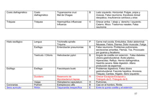 Costo diafragmático Costo
diafragmático
Trypanosoma cruzi
Mal de Chagas
B Lado izquierdo. Horizontal. Pulgas, piojos y
moscas. Falsa neumonía. Escoliosis dorsal
ideopática. Insuficiencia cardíaca y otras
Tráquea Tráquea Haemophilus influenzae
Influenza
V Checar arriba / abajo y derecho / izquierdo.
Catarro. Moco. Trastornos nasales. Falsa
neumonía
Hiato esofágico Lengua Trichinella spiralis
Triquina
P Carne mal cocida. Embutidos. Dolor abdominal.
Náuseas. Fiebre. Diarrea. Dolor muscular. Fatiga
Esófago Enterobacter pneumoniae B Falsa neumonía. Problemas pulmonares,
secreciones amarillas. Flemas. Tos. Provocado
por guanos y fecalismo
Testículo / Clítoris Helicobacter pylori B Angulo de costilla con esternón. Falsa diabetes.
Ulcera gastroduodenal. Ácido péptico.
Hiperacidez. Reflujo. Hernia diafragmática.
Gastritis severa. Mala digestión. Altera
producción de espermas
Esófago Esófago Fasciolopsis buski P Problemas digestivos. Falsa úlcera
gastroduodenal. Fasciola hepática. Anorexia.
Tráquea. Cardias. Hígado. Seno izquierdo
Duodeno Reservorio de
Mycobacterium leprae
R Checar Escápula-Escápula y
Triángulo de E.-Triángulo de E.
Vejiga Histoplasma capsulatum H Pulmones.
Coronarias Pulmón Estreptococo alfa B Casi en el hombro. Rinitis
Seno aurículo- Riñón Taquicardia inespecífica E Entre la quinta costilla y el esternón
57
 