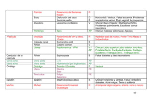 Pulmón Reservorio de Bacterias
Rubén
R
Bazo Disfunción del bazo
Yersinia pestis
D
B
Horizontal / Vertical. Falsa leucemia. Problemas
respiratorios varios. Flujo vaginal. Azoospermia
Duodeno Leucemia verdadera V Checar Bazo-Hígado y Diafragma-Riñón.
Problemas pulmonares. Escoliosis dorsal
ideopática
Peritoneo Spru AP Intenso malestar estomacal. Agruras
Vesícula Vesícula Reservorio de VIH y otros.
Prada
R Rastrear todo de nuevo. Poner Timo-Recto e
Índice-Índice
Cápsula renal Escherichia colli B
Riñón Catarro común V
Uretra Papilomavirus / VPH V /
AP
Checar Labio superior-Labio inferior, Ano-Ano,
Próstata-Recto, Escápula-Escápula, Esófago-
Duodeno y Triángulo de E.- Triángulo de E.
Conducto de la
vesícula
Riñón Espiroqueta B Falsa diabetes y falso reumatismo
Vena porta Vena porta (¿?) AP
Vena aorta Vena aorta Hipertensión por trigliceridos AP
Ombligo Ombligo Trombo / Embolia P Vertical
Útero Electra
Trini
PE
Testículos Edipo
Saturnino
PE
Epiplón Epiplón Staphylococcus albus B Checar horizontal y yertical. Falsa-verdadera
diabetes. Acné vulgar. Tenia o solitaria
Muñón Muñón Reservorio Universal
Guadalupe
R Al amputar algún órgano, arteria, vena o nervio
60
 