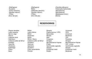 (Diafragma) (Diafragma) (Candida albicans)
Duodeno Riñón Chlamydia trachomatis
(Indice derecho) (Deltoides derecho) (Micoplasma)
(Aquiles inferior) (Aquiles inferior) (Micoplasma)
(Tibia) (Tibia) (Malassezia furfur)
(Arco del pie) (Arco del pie) (Ébola)
RESERVORIOS
Piezas dentales Riñón Rosario Universal
Labio superior Labio inferior Papilomavirus / VPH VPH
Nervio vago Riñón Benavides Universal
Pleura Peritoneo Moisés Bacterias
Cápsula renal Riñón Alex VIH
Interilíaco Riñón / Sacro Congreso Parásitos
Cabeza-cuello de fémur Cabeza-cuello de fémur Hongos Hongos
Esófago Duodeno Mycobacterium leprae Mycobacterium leprae
Vesícula Vesícula Prada VIH y otros
Peritoneo Apéndice Gardnerella vaginalis Gardnerella vaginalis
Estómago Duodeno Herpes Herpes
Píloro Colon ascendente Endolimax naná Endolimax naná
Bazo Pulmón Rubén Bacterias
64
 