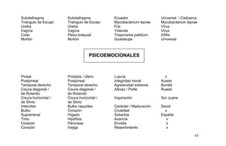 Subdiafragma Subdiafragma Ecuador Universal / Cisticerco
Triángulo de Escapi Triángulo de Escapi Mycobacterium leprae Mycobacterium leprae
Uretra Uretra Fox Virus
Vagína Vagína Yolanda Virus
Codo Plexo braquial Treponema pallidum Sífilis
Muñón Muñón Guadalupe Universal
PSICOEMOCIONALES
Pineal Próstata / Útero Lujuria x
Postpineal Postpineal Integridad moral Xcaret
Temporal derecho Temporal derecho Agresividad extrema Bonilla
Cisura diagonal /
de Rolando
Cisura diagonal /
de Rolando
Altivez / Porte Rueda
Cisura horizontal /
de Silvio
Cisura horizontal /
de Silvio
Inspiración Sor Juana
Interciliar Bulbo raquídeo Carácter / Maduración David
Bulbo Corazón Crueldad x
Suprarrenal Hígado Soberbia España
Timo Hipófisis Avaricia x
Corazón Páncreas Envidia x
Corazón Vejiga Resentimiento x
65
 